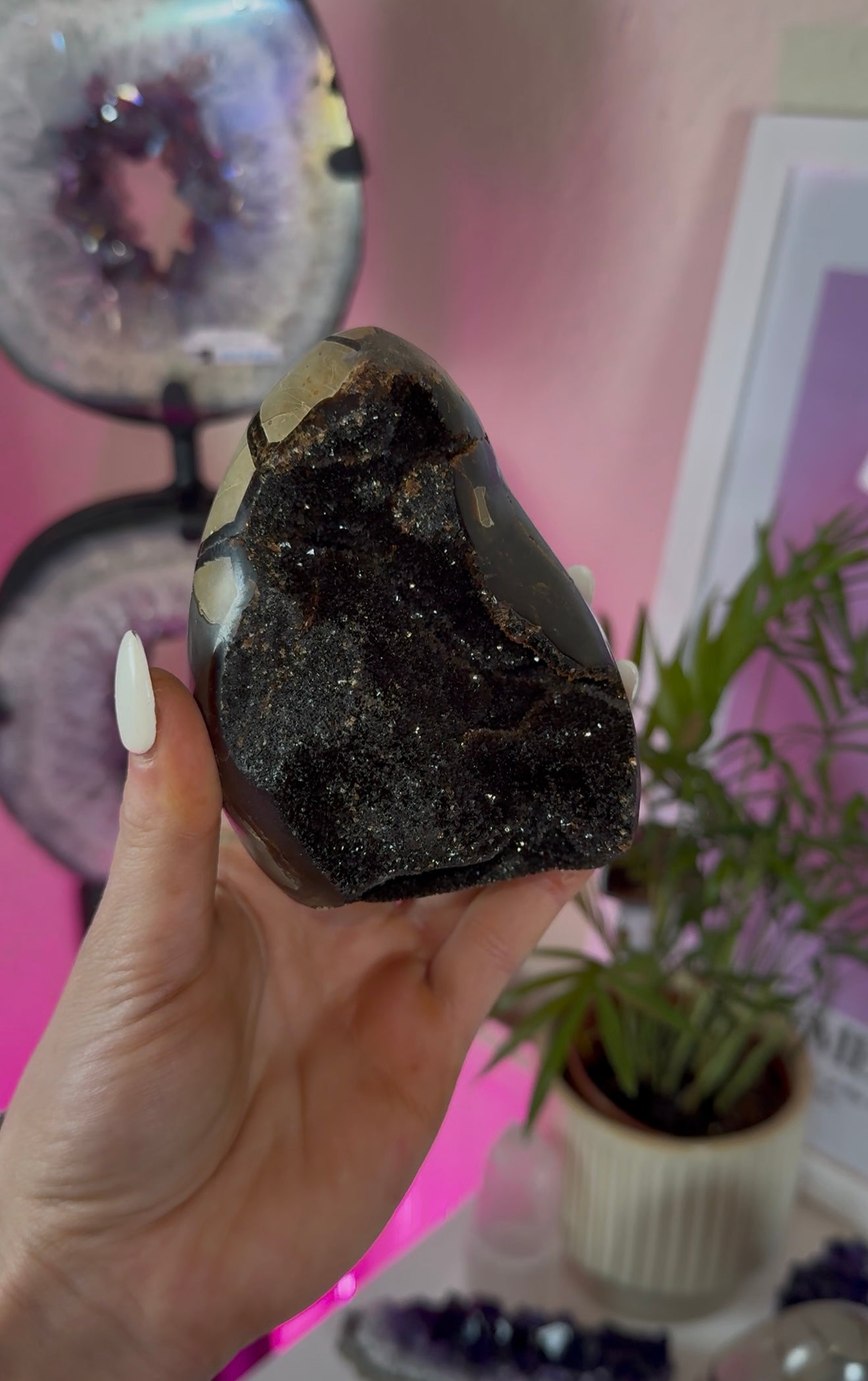 Septarian druzy freeforms