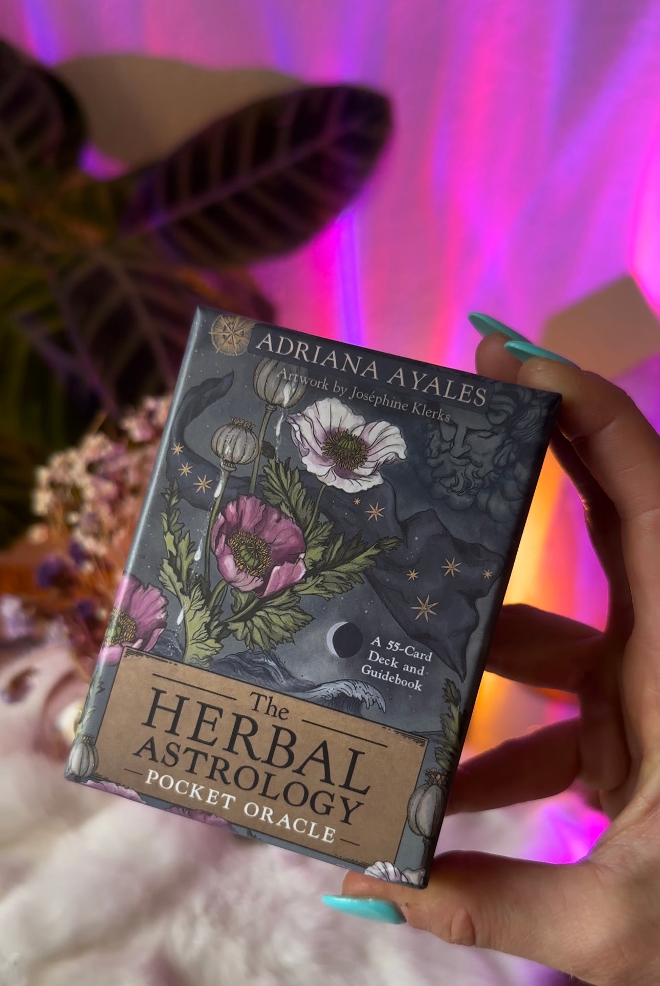 The Herbal Astrology Oracle (Pocket Size) - Adriana Ayales