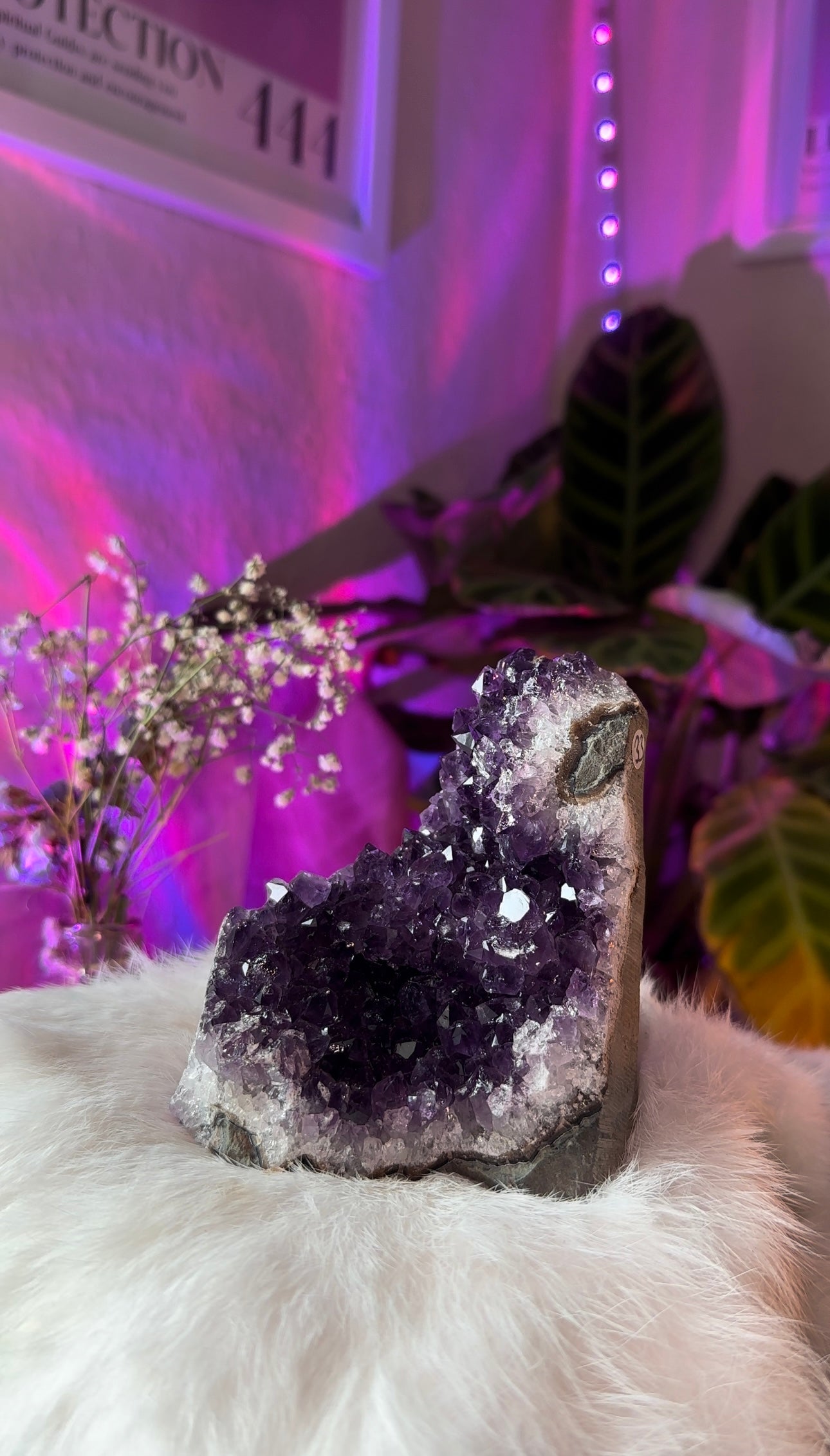 Amethyst clusters