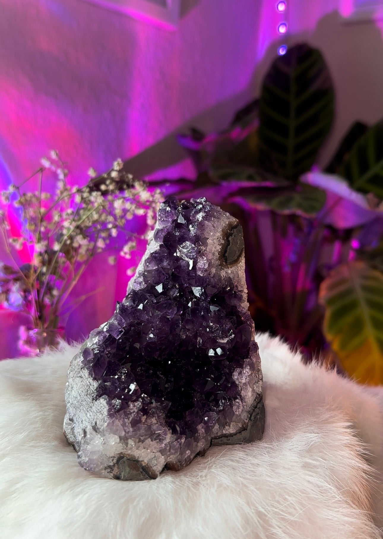 Amethyst clusters