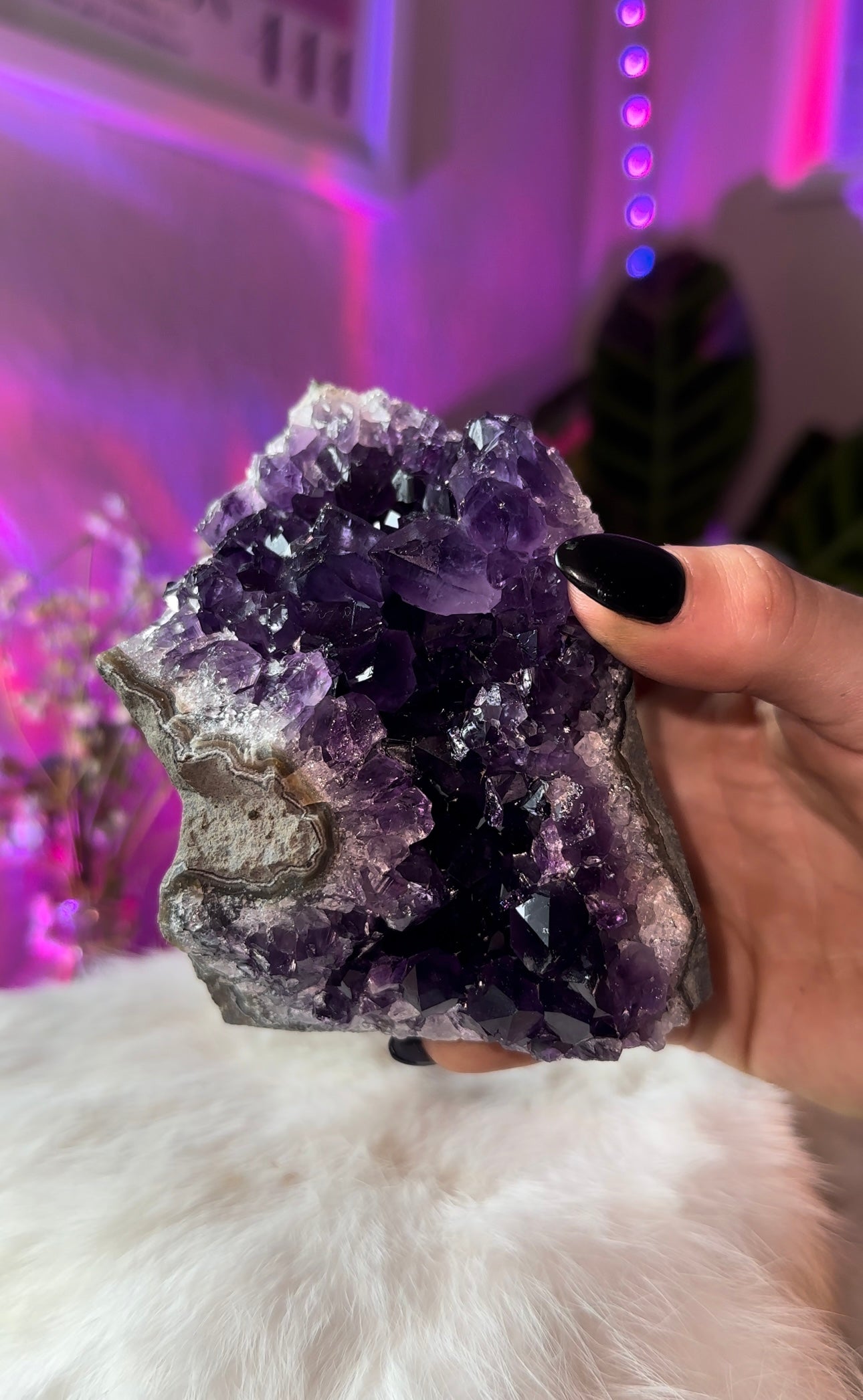 Amethyst clusters