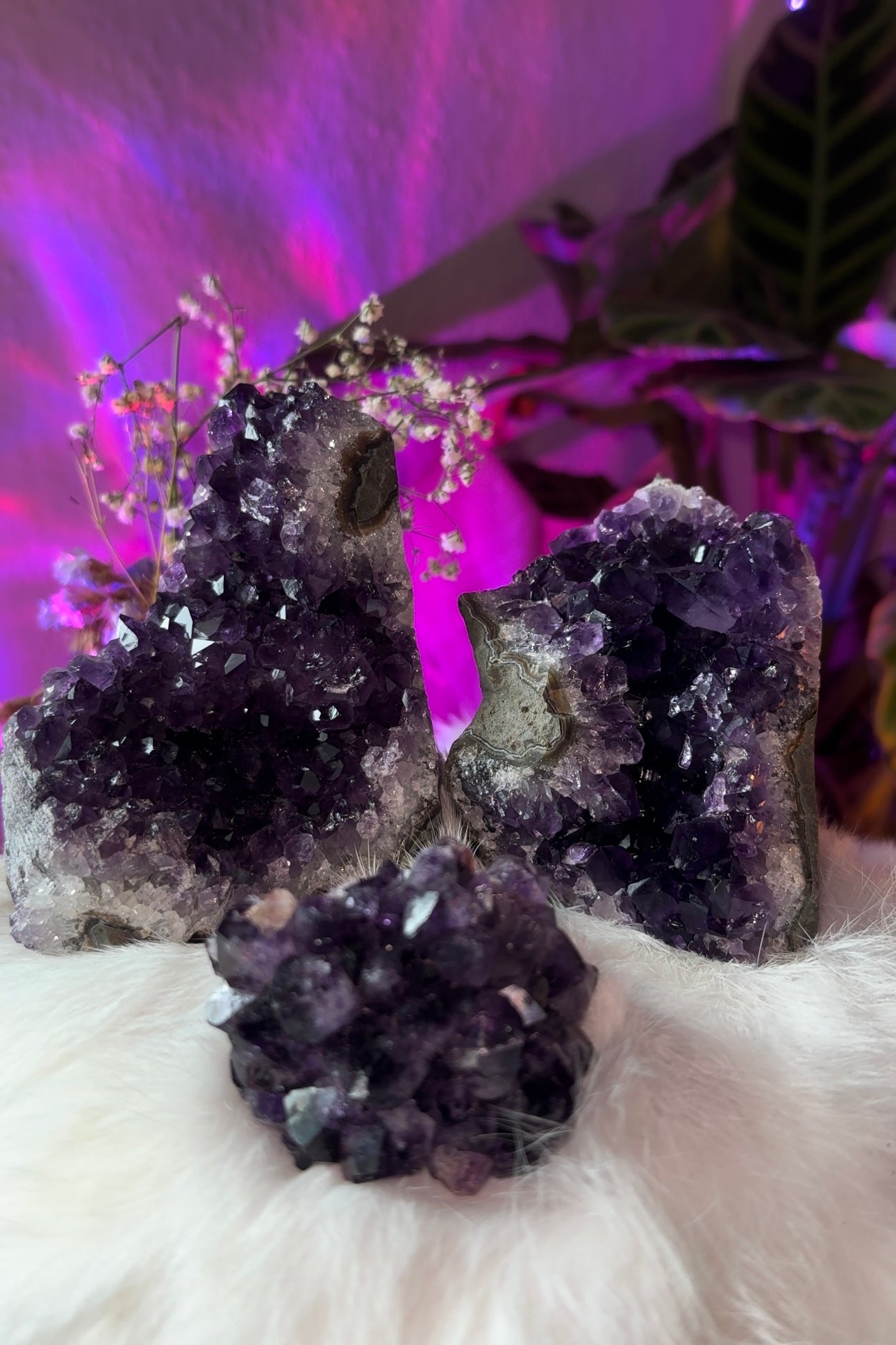 Amethyst clusters